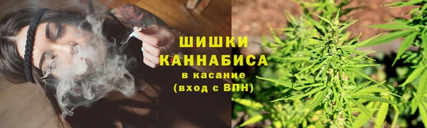 сатива Алексеевка