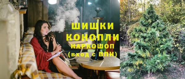 сатива Алексеевка