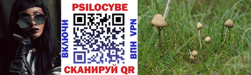 гидра   Туринск  Псилоцибиновые грибы Psilocybe  купить наркотики сайты 